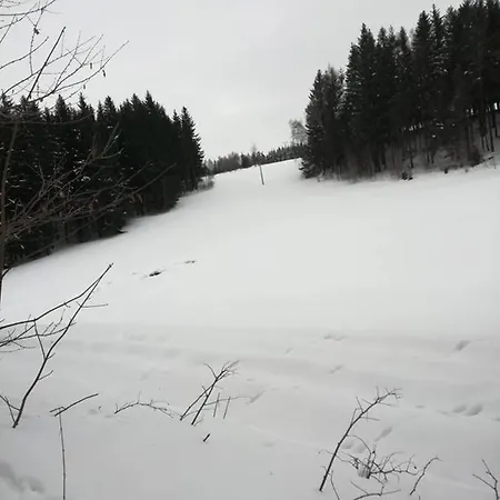 Chaloupka U Lišáka