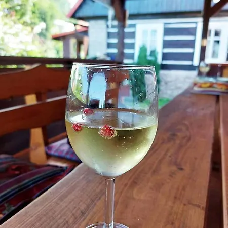 Chaloupka U Lišáka Lodge *
