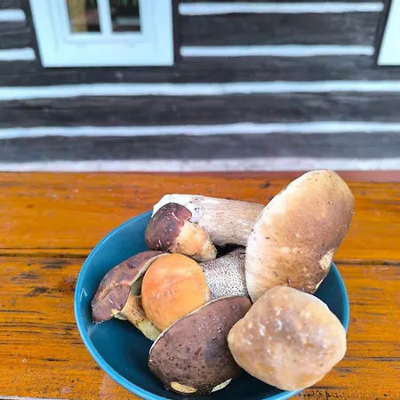 Gerendaház Chaloupka U Lisaka