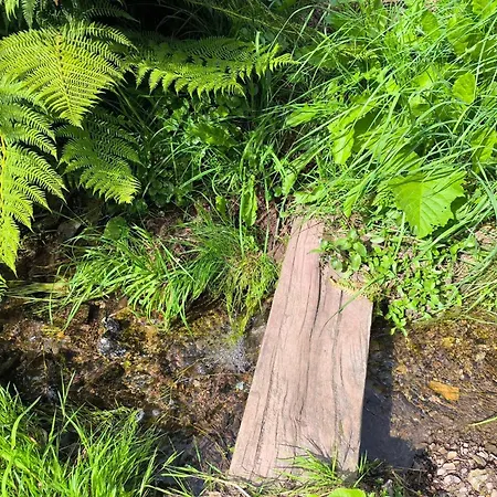 Chaloupka U Lisaka *