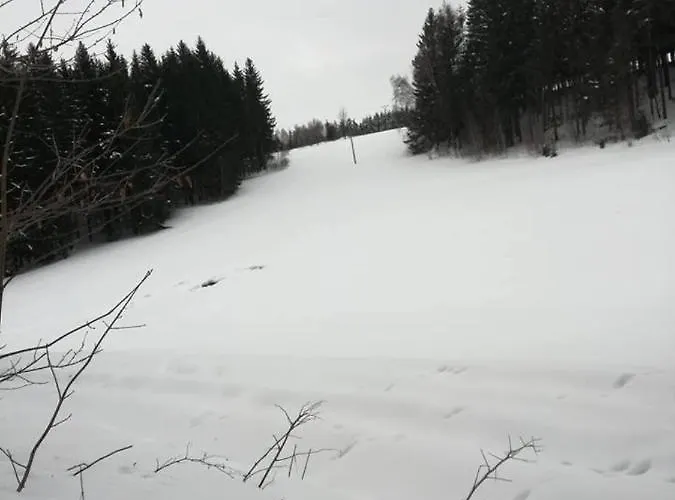 Chaloupka U Lišáka